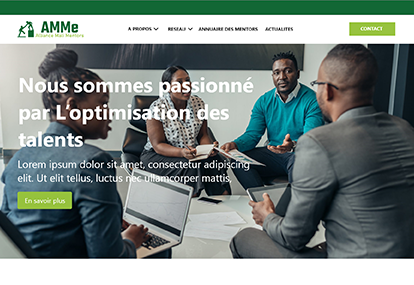 Alliance Mali Mentors